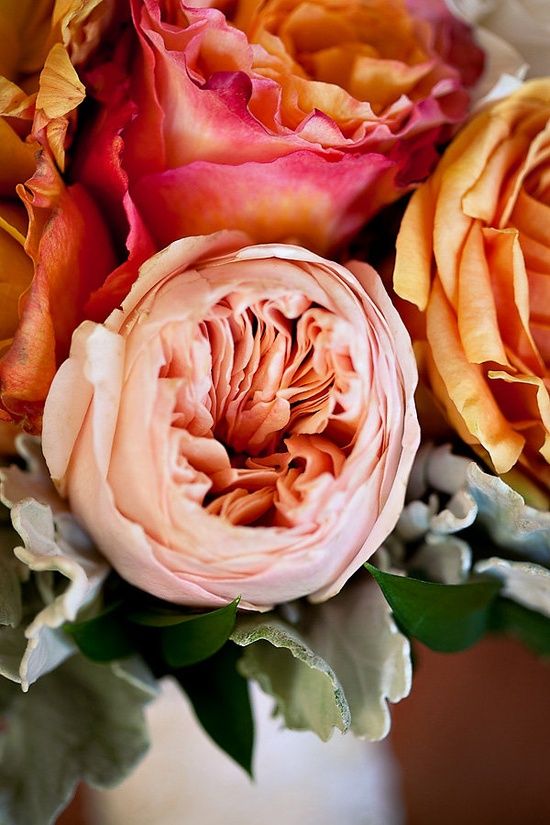 24b131b480dc74e74e487cc9125d1ef3