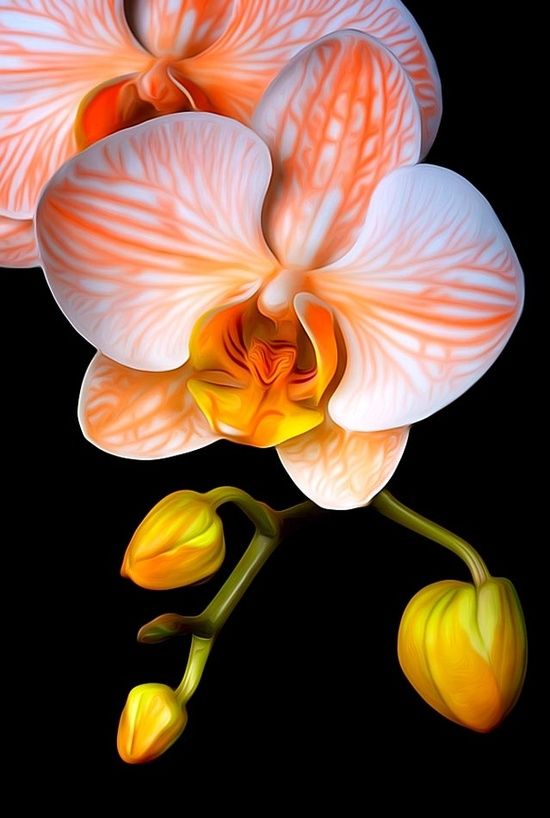 27e82e6579cb9d680189951275cac8fa