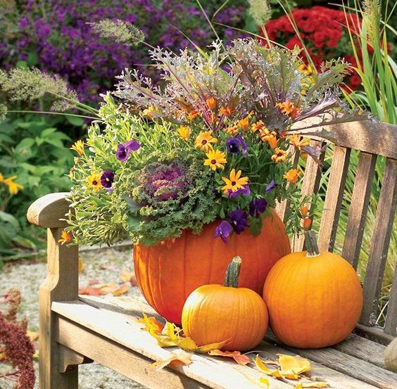 28408f8dce82e62d506c88b47a8d89e0