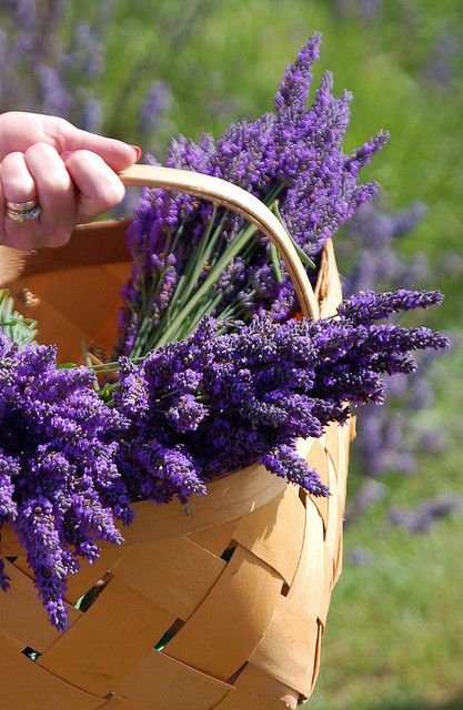 2924741c51a3c04fd72c72f81a2fa1db