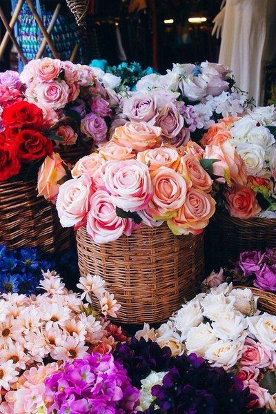 2d439a0fbfddc45c378084cde2656194