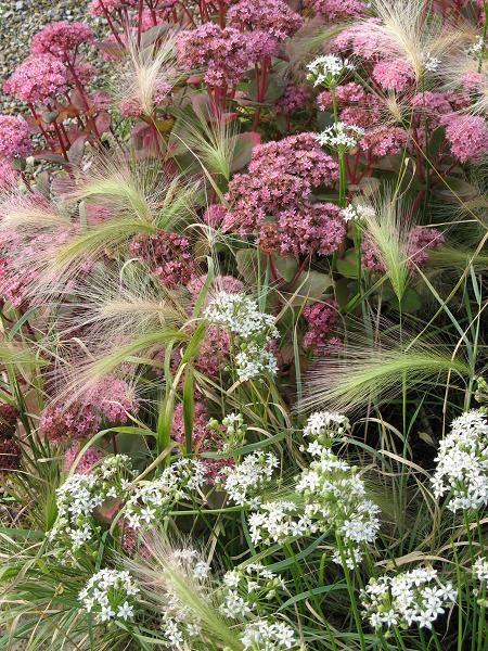 32f610f9c43fe6a6057395ff9c67fa78