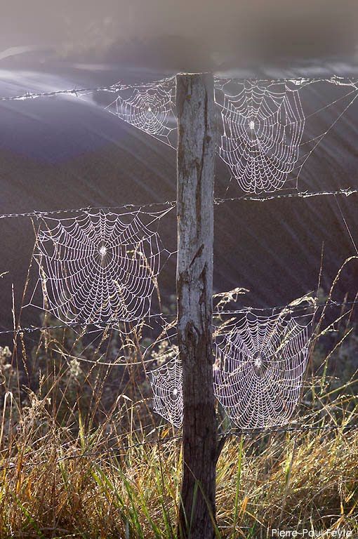 3903a0ddbc6a118d7067fd69c2d3454d