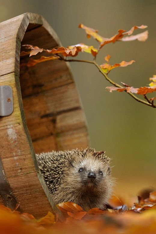 4ec1ab6cb705a406efa8726b91a02467