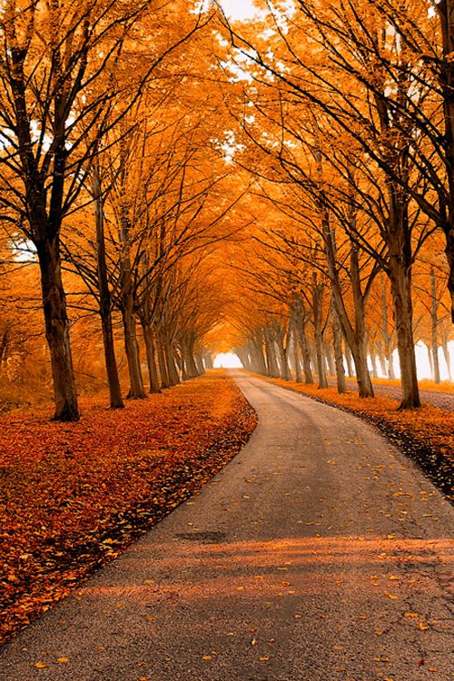 50a75259fbc9b6d9f5c4ae713e64cfaf