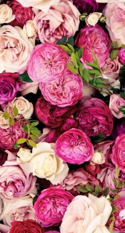 5318c2b55939c8465e4177e74381aea8