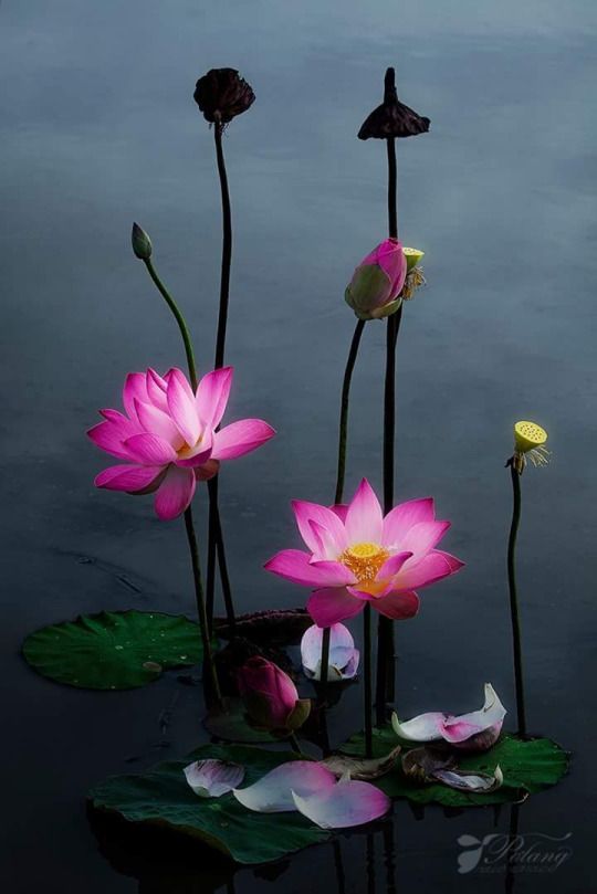 5bc7de74ba3190280e63a947cb1e425d