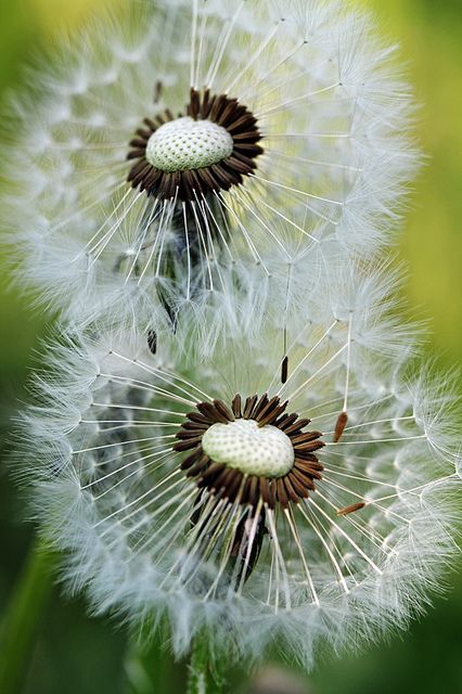 61843e38f582dceb5648f294163db82c