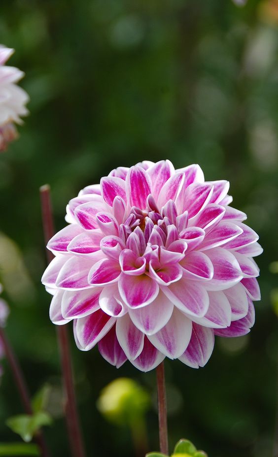 635fdfd82b730b7b3c2abd02d60832b5