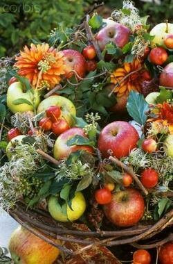 65d6d759e7388ccfbe547c280b17a0ea