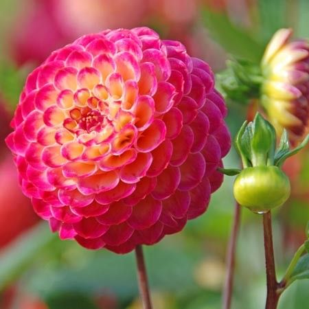 72abbe4532d700e77b000a3ba1f654bd