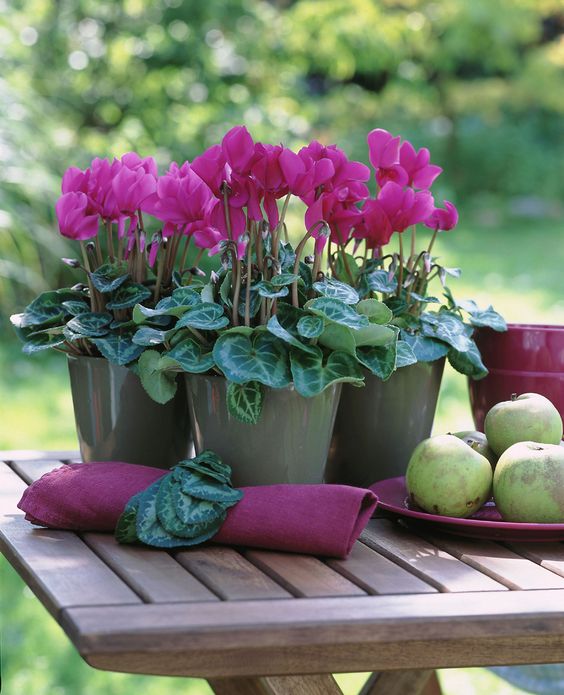 7371d1d3b7defaf0e2a35536186c9d76