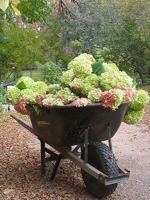 789bbd8e05dfcaf068fbc39a86845c90