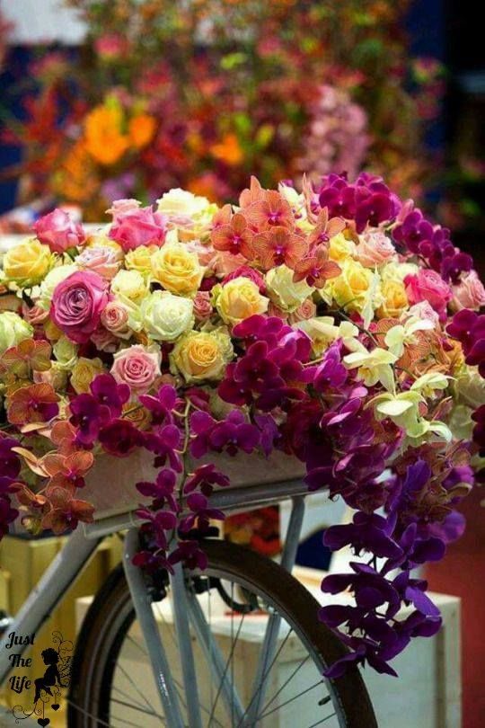 799cf20226f1a0ce7d6dcbcbe462c9f2