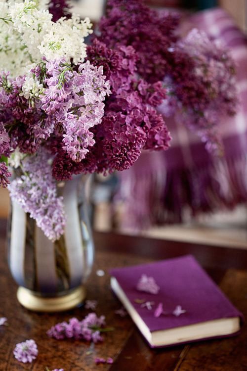 8aca5822482d4e4002bd3e7fb1911f5c