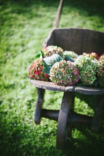 94f8ed14c7a3de7ee07adc0fc5a672a1