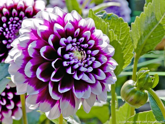 98344a7a8873b5711b1d69bc75dccfbb