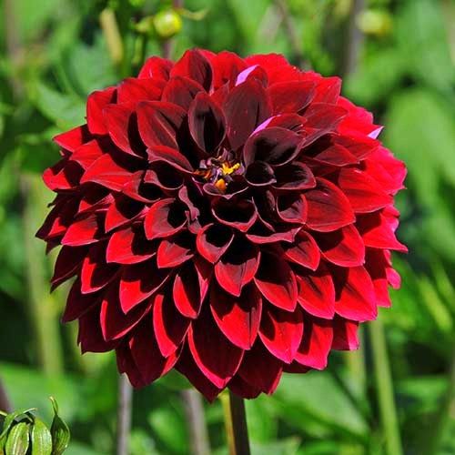 9e33760cb2e30ae2d7c3af6ead2a8d21