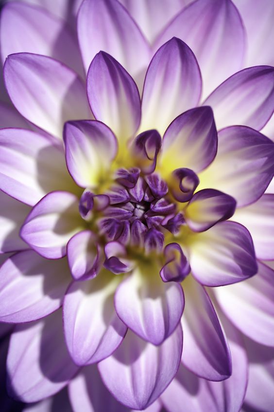 a4e6fc15132014a798663533b299024c