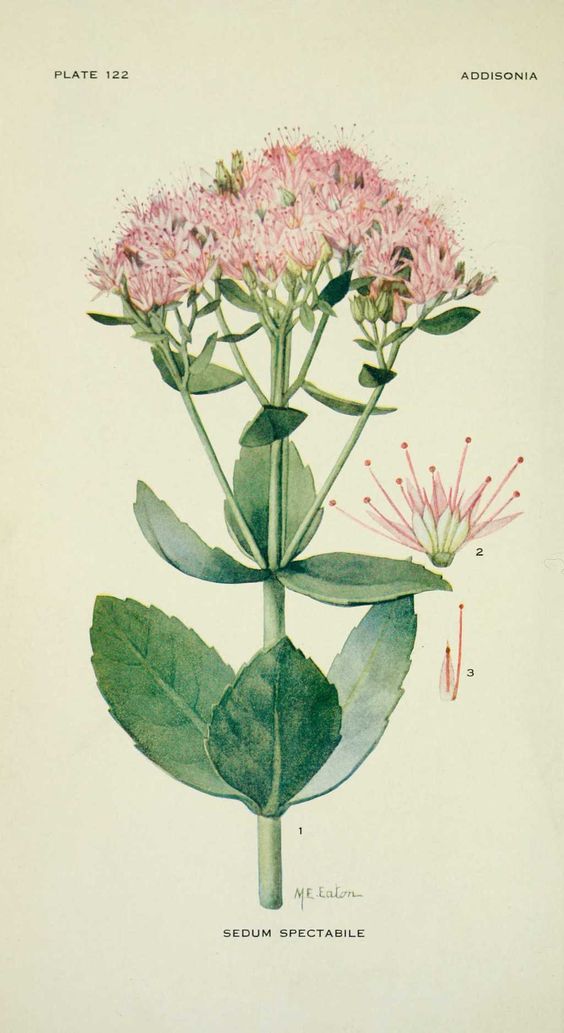 af69386e1c21985599802fab8e97a75f