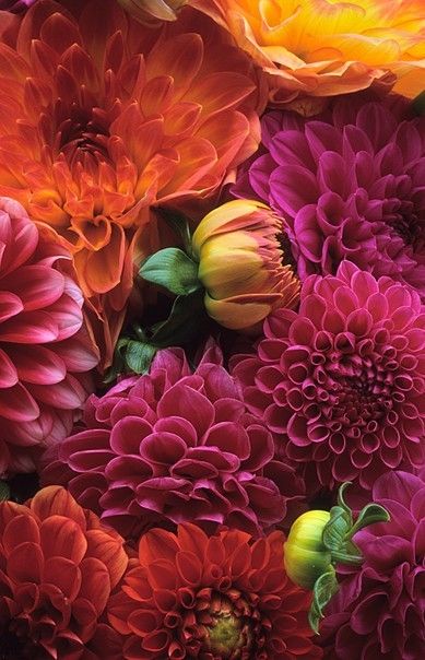 b28c807c5715b57922aa66fe09bd15bf