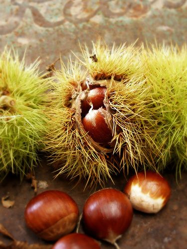 b39a7a2c8267fa68bdc7fcdb869f3418