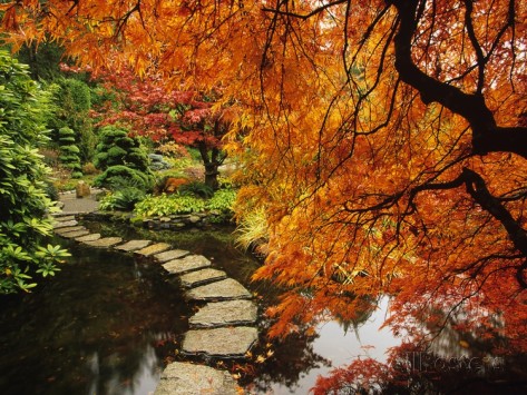 barrett-mackay-couleurs-d-automne-dans-les-jardins-butchart-victoria-ile-de-vancouver-canada