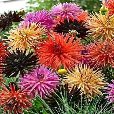 bec614933d41805e5819c4082c6b5289