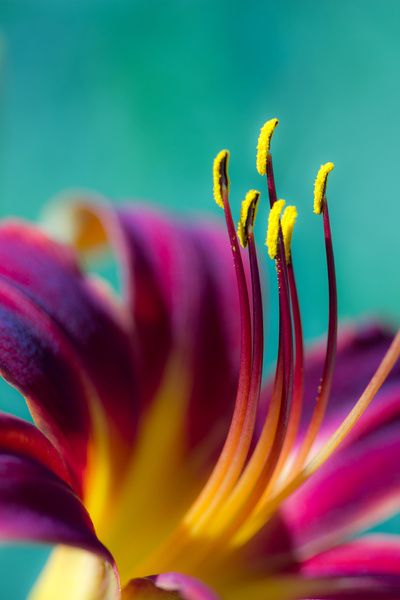 c23ac787293448f3dec73de118e9ca79