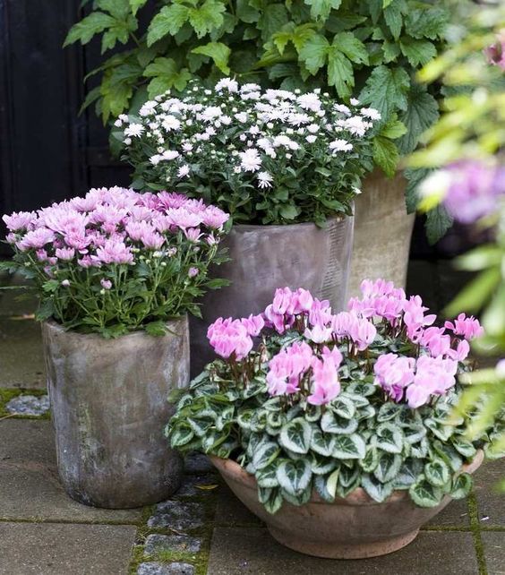 c9b57fb86a87b82d069684bc4b73fa14