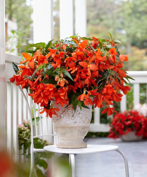 d1b4432902be8cb41aa28d741bc44f7c-1