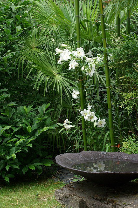 dbb59e84b789f0dec6615d3eda8b49f4