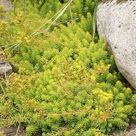 dbdf57bcba7a10f2d70b1b63960a3574