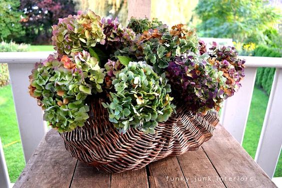 e2a599f5df0ba002196e1da02c1d9e92