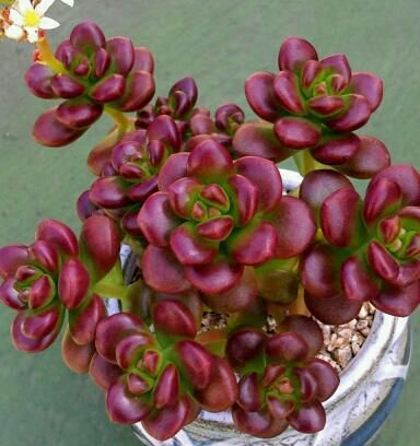 e8b852f94b099871ed5ff87ebd8f38fb