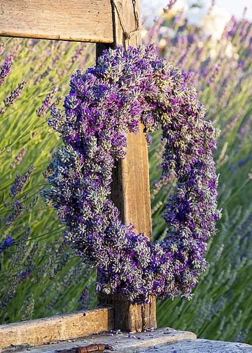 ef41483853b191aa91c042994dd73918