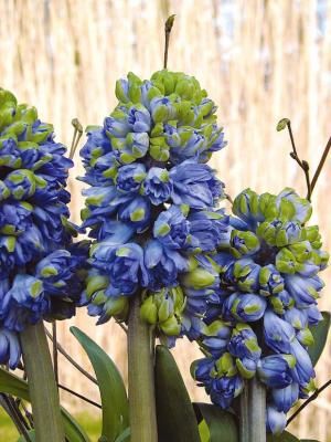 0d04b8d9afc3a9f351f7fc0cd391fa25