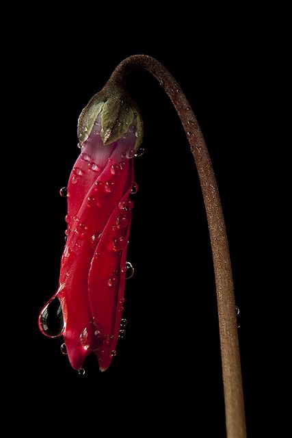 113d9f6f9fd88ad3420578ae31a0f882