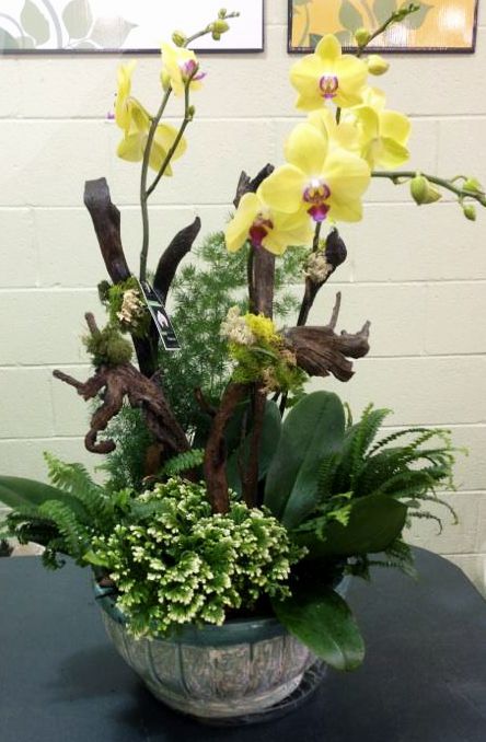 11af0316b5fb052774b7088411c2450f