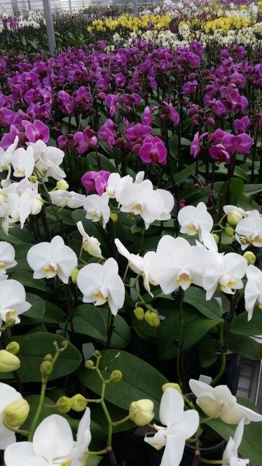 14868d520af1b2ae57bb946c195224b8