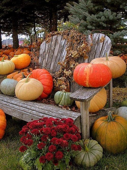 14b1fefa7abfceac1b749aa5a6a09682