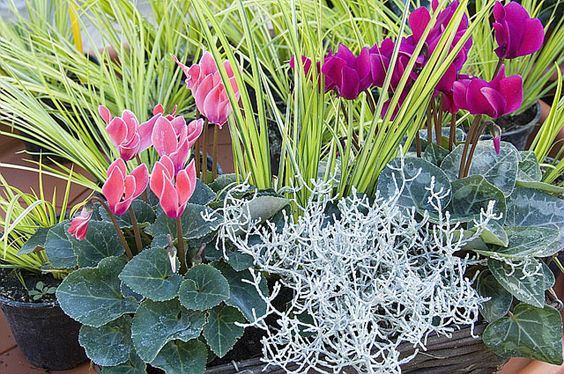 1eda7dcd57fae4e5e093e3711ecbf14d