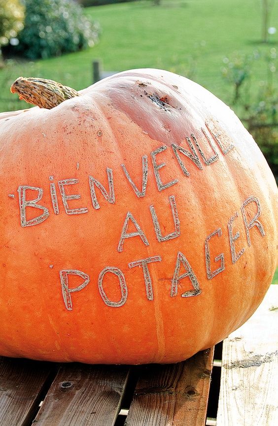 21e20a7b1fc6324a9fde052b0b7200b3