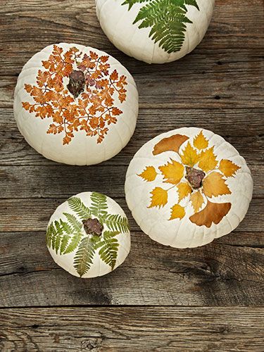 291be0de2070262e988816b2badc8987