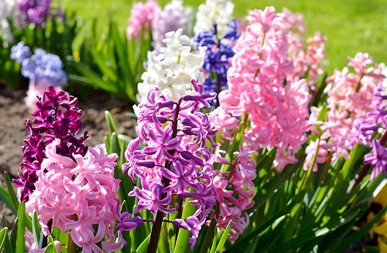 2923b7d1ebfacbca291b245c83183830