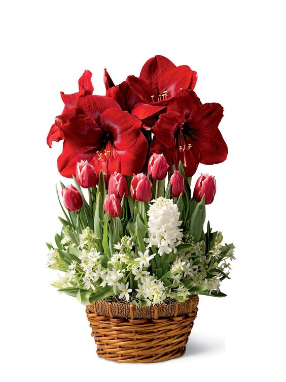 2ac4801c86c434e4fa4d5c1f328d110b