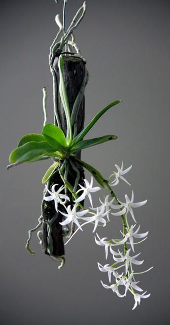 2b4a765a5caa9a0aa05881505a909653