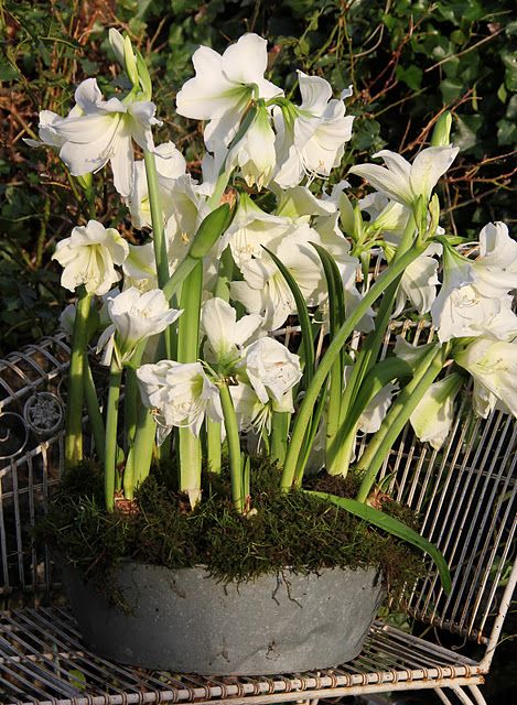 30ca1966a53dbaa23e7a58e718d7ebc8