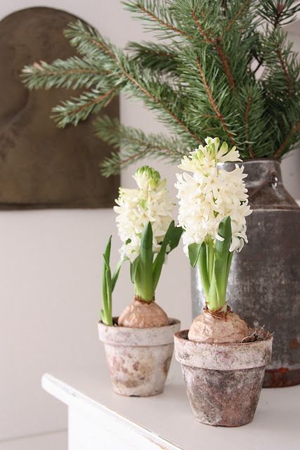 3b6794ed3763294ccdfa7b05df1b0140