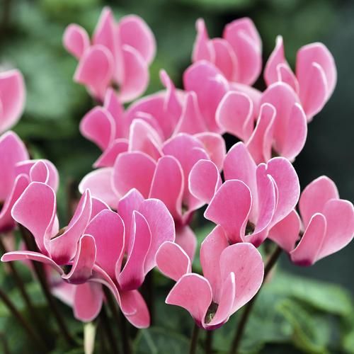 483146ae2a16a1c15b8012ac4455fe9b